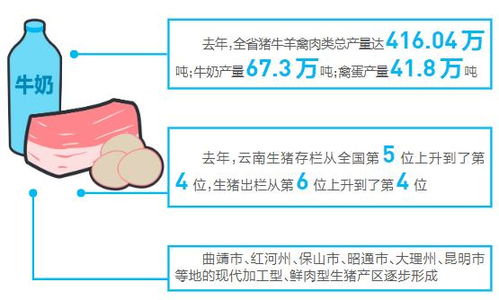 产出高效产品安全资源节约环境友好 云南省畜牧业快速发展