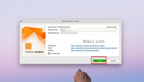 link assistant website auditor enterprise for mac 网站优化分析软件 v4.5