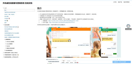 程序员开发了自己的产品怎样推广 说一说我的免费在线客服系统推广经验